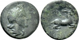 KINGS OF MACEDON. Philip V (221-179 BC). Ae. Pella or Amphipolis.