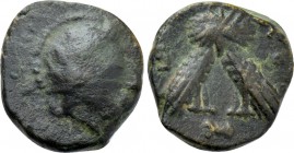 ATTICA. Athens. Ae (Circa 340/35-322/17 BC).