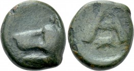 ARGOLIS. Argos. Ae (Circa 370-270 BC).