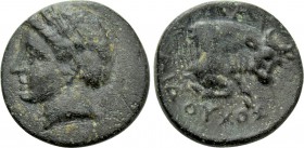 IONIA. Magnesia ad Maeandrum. Ae (Circa 400-350 BC). Aidouchos, magistrate.