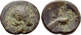 IONIA. Samos. Ae (Circa 129-30 BC).