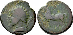 KINGS OF NUMIDIA. Massinissa (203-148 BC). Ae. Cirta.