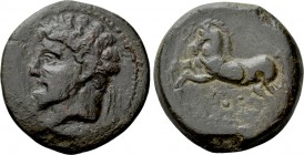 KINGS OF NUMIDIA. Massinissa or Micipsa (203-148 and 148-118 BC, respectively). Ae. Cirta.