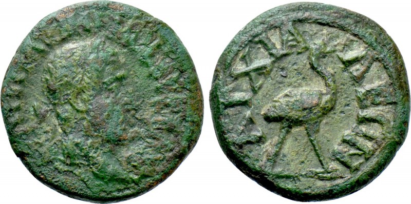 THRACE. Anchialus. Maximinus Thrax (235-238). Ae. 

Obv: Laureate head right....
