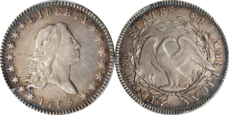 1795 Flowing Hair Half Dollar. O-108, T-17. Rarity-4+. Two Leaves. VF-30 (PCGS)....