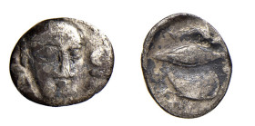 CAMPANIA - PHISTELIA (Circa 325-275 a.C.) OBOLO - D/Viso maschile rivolto leggermente a d. R/Delfino, chicco d'orzo e conchiglia - Ar - Sng.Ans. 567 -...