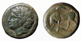 SICILIA - SIRACUSA - AGATOCLE (317-289 a.C.) HEMILITRA -D/ Testa di Kore a s. R/Toro cozzante a s. con sopra e sotto delfini - Ae - Sng Ans 564 BB+