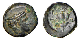 MACEDONIA - TRAGILOS (circa 400 a.C.) AE 18 - D/Test di Hermes a d. con il cappello R/La Rosa con intorno ΤΡΑΙΛΙΟΝ - Ae - Sng.Cop. 451 - Sng.Ans. 907 ...