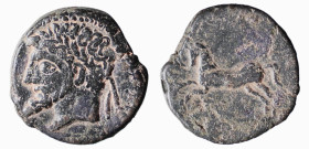 NORD AFRICA - REGNO DI NUMIDIA - MASSINISSA O MICIPSA (203-148 e 148-118 a.C.) BRONZO gr.16 -D/Testa laureata a s. R/Cavallo al galoppo a s. - Ae - Sn...