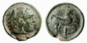 APULIA - LUCERIA (circa 220 a. C.) ASSE gr.62,8 - D/Testa di Ercole a d. con copricapo di pelle leonina R/Cavallo andante a d. con sotto il simbolo de...
