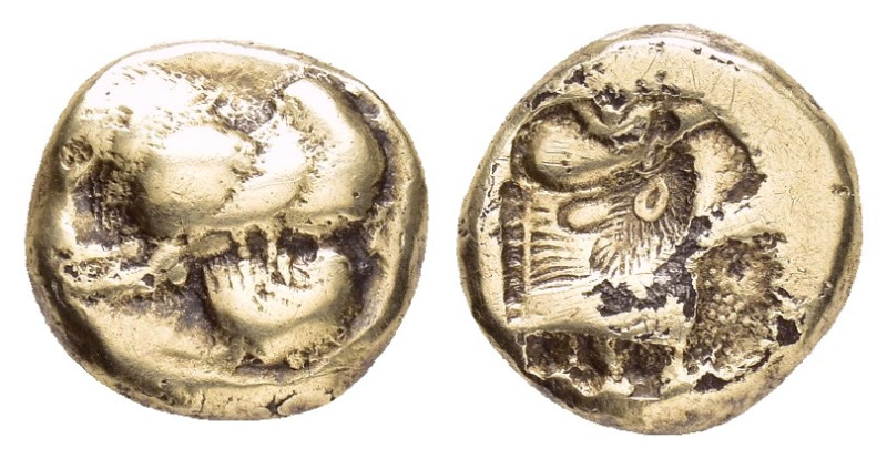 LESBOS. Mytilene.(Circa 521-478 BC).Fourree Hekte.

Obv : Forepart of winged boa...