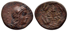 AEOLIS. Elaia.(2nd-1st centuries BC).Ae.

Weight : 4.04 gr
Diameter : 19 mm