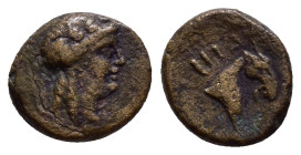 AEOLIS.Aegae.(Circa 300-200 BC).Ae.

Weight : 1.3 gr
Diameter : 11 mm
