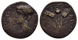 AEOLIS. Elaia. Nero (54-68). Ae.

Weight : 2.2 gr
Diameter : 17 mm