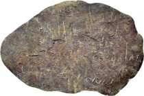 ANCIENT BRONZE APLIQUE.

Weight : 18.5 gr
Diameter : 74 mm