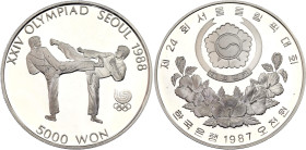 Korea 5000 Won 1987
KM# 66, N# 15812; Silver; Olympic Games - Tae Kwon Do; Proof