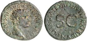 RÖMISCHE MÜNZEN. RÖMISCHE KAISERZEIT. Tiberius, 14 - 37. 
As, geprägt unter Augustus. Rev. SC in Umschrift.
RIC 469; C. 27 10,34 g grüne Patina, kor...