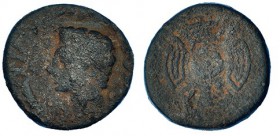 GUERRAS CÁNTABRAS. Semis. A/ Cabeza de Augusto a izq., alrededor ley. poco visible. R/ Rodela de frente. AE 7,3 g. PPR-3. I-1707. BC-/BC+. Muy rara.