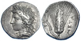 LUCANIA. Metaponto. Estátera (400-350 a.C.). A/ Cabeza de Perséfone a izq. con collar y pendiente, gráfila de puntos. R/ Espigas y símbolo, a los lado...