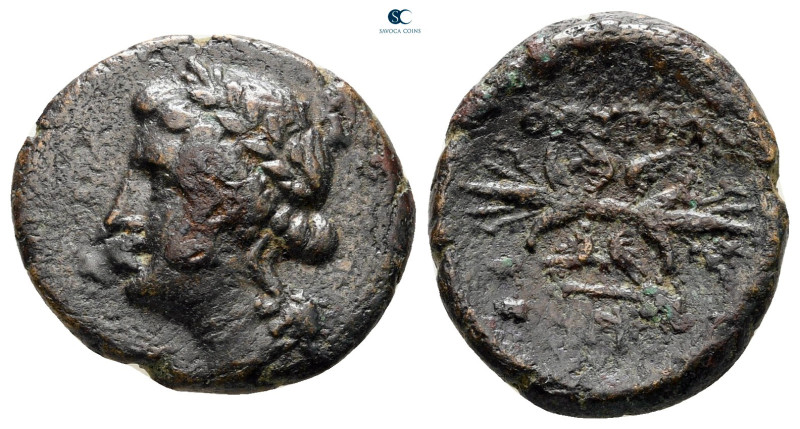 Lucania. Thourioi circa 280-213 BC. 
Bronze Æ

18 mm, 3,09 g



nearly ve...