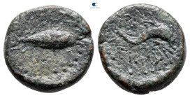 Sicily. Solus circa 241-150 BC. Bronze Æ