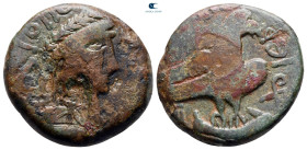Scythia. Olbia AD 50-100. Bronze Æ