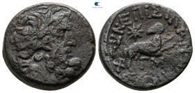 Seleucis and Pieria. Antioch. Pseudo-autonomous issue. Time of Augustus 27 BC-AD 14. Bronze Æ