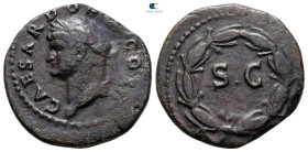 Seleucis and Pieria. Antioch. Domitian AD 81-96. Bronze Æ