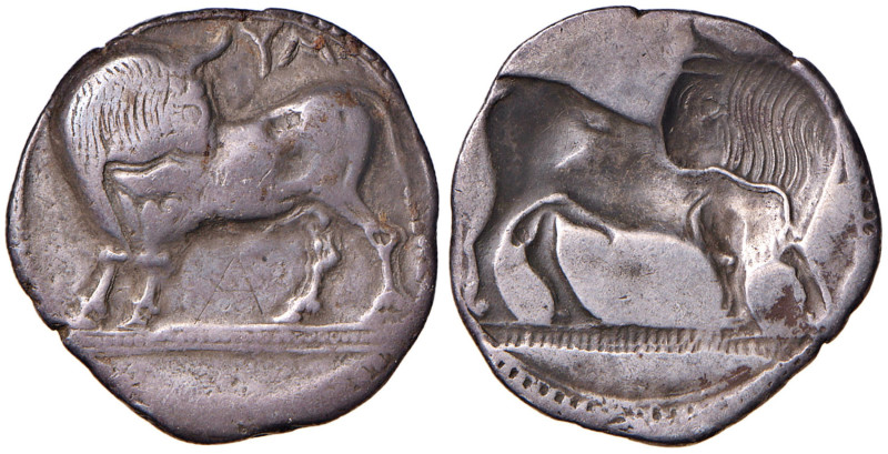 LUCANIA Sibari - Statere (circa 550-510 a.C.) Toro a s. - R/ Toro incuso a d. - ...