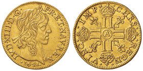 FRANCIA Luigi XIII (1610-1643) Luigi d’oro 1641 A à la meche lonque - Gad. 58 AU (g 6,73) R Colpetto al bordo
BB+/qSPL