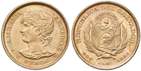 EL SALVADOR 5 Pesos 1892 - KM 117 AU (g 8,06) Graffi al D/. Solo 558 pezzi coniati
SPL+