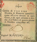 BANCONOTE Assedio di Mantova 3 Lire moneta di Mantova n°692307
SUP