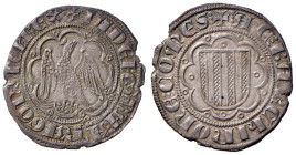 MESSINA Giacomo d’Aragona (1285-1296) Pierreale - MIR 179 AG (g 3,31)
qFDC