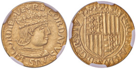 NAPOLI Ferdinando I d’Aragona (1458-1494) Ducato - MIR 64 AU (g 3,47) RR In slab NGC MS63+ 2119070-002
MS 63+