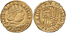 NAPOLI Alfonso II d’Aragona (1494-1495) Ducato sigla T - MIR 87 AU (g 3,53) RRR
qFDC