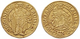  EUROPA UND ÜBERSEE   UNGARN   (D) Wladislaus II. 1490-1516 Goldgulden 1510 KG Kremnitz (3,53 g); Münzmeister Georg Thurzo Pohl:L8-2, AL:75/2; Rv. Sch...