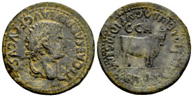 Caesaraugusta. Time of Tiberius. Unit. 14-36 AD. Zaragoza. (Abh-363). Anv.: TI. CAESAR. DIVI. AVG. F. AVGVSTVS. Laureate head of Tiberius right. Rev.:...