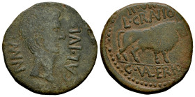 Calagurris. Augustus period. Unit. 27 BC - 14 AD. Calahorra (La Rioja). (Abh-406). (Pueyo-103e). (Acip-3114a). Anv.: MVN. CAL. IVL. Bare head of Augus...