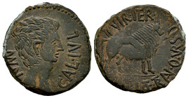 Calagurris. Augustus period. Unit. 27 BC - 14 AD. Calahorra (La Rioja). (Abh-408). (Pueyo-105b). (Acip-3316). Anv.: MVN. CAL. IVL. Bare head of August...