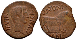 Calagurris. Augustus period. Unit. 27 BC - 14 AD. Calahorra (La Rioja). (Abh-410). (Pueyo-106b). (Acip-3119). Anv.: II. VIR. MVN. CAL. Head of Augustu...
