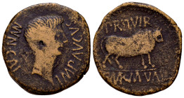 Calagurris. Augustus period. Unit. 27 BC - 14 AD. Calahorra (La Rioja). (Abh-415). (Pueyo-108d/109b). Anv.: MVN. CALAG. IMP. AVGVSTVS. Bare head of Au...