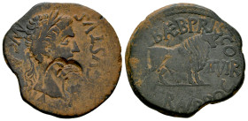 Calagurris. Augustus period. Unit. 27 BC - 14 AD. Calahorra (La Rioja). (Abh-416). (Pueyo-112c). (Acip-3122c). Anv.: MVN. (CL. IV)LIA. AVGVSTVS. Laure...