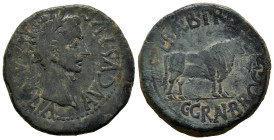 Calagurris. Augustus period. Unit. 27 BC - 14 AD. Calahorra (La Rioja). (Abh-416). Anv.: MVN. CL. IVLIA. AVGVSTVS. Laureate head of Augustus right. Re...