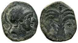 Carthage Nova. Calco. 220-215 a.C. Cartagena (Murcia). (Abh-518). (Acip-581). Anv.: Helmeted male head right. Rev.: Palm tree with fruits. Ae. 4,94 g....