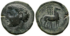 Carthage Nova. Calco. 220-205 a.C. Cartagena (Murcia). (Abh-552). (Acip-609). Anv.: Bare-head left, Scipio Africanus?. Rev.: Horse standing right; pal...