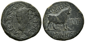 Kelse-Celsa. Augustus period. Unit. 27 BC - 14 AD. Velilla de Ebro (Zaragoza). (Abh-806). Anv.: AVGVST. C. V I. CELSA. Head of Augustus right within l...