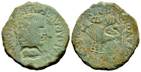 Clunia. Time of Tiberius. Unit. 37-41 AD. Coruña del Conde (Burgos). (Abh-836). Anv.: TI. CAESAR. AVG. E AVGVSTVS. IMP. Laureate head of Tiberius righ...