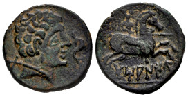 Tamaniu. Unit. 120-20 BC. Area of Aragon. (Abh-890). Anv.: Male head right, dolphin before, iberian letter DA behind. Rev.: Horseman right, holding sp...