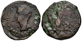 Ebora. Augustus period. Dupondius. 27 BC - 14 AD. (Abh-900). (Acip-3417). Anv.: PERMISSV. CAESARIS. AVGVSTI. P. M. Head of Augustus left. Rev.: Asperg...