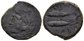 Gades-Gadir. Unit. 100-20 BC. Cadiz. (Abh-1339). (Acip-665). Anv.: Head of Hercules left, club behind. Rev.: Two tunny left above and below, punic leg...